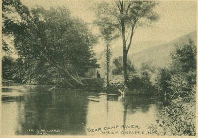 bear_camp_1907